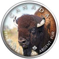 Kanada - 5 CAD Maple Leaf Wildlife Bison 2021 - 1 Oz Silber Color