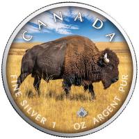 Kanada - 5 CAD Maple Wildtiere Unterwegs Bison 2021 - 1 Oz Silber Color