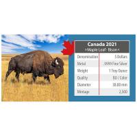 Kanada - 5 CAD Maple Wildtiere Unterwegs Bison 2021 - 1 Oz Silber Color