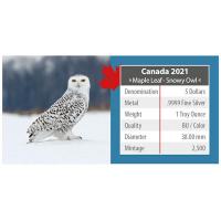 Kanada - 5 CAD Maple Wildtiere Unterwegs Schneeeule 2021 - 1 Oz Silber Color