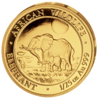 Somalia - 50 Shillings Elefant 2011 - 1/25 Oz Gold