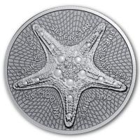 Cook Island 1 CID Starfish Seestern Silverstar 2021 1 Oz Silber