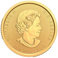 Kanada - 200 CAD Goldrausch Serie (1): Goldwsche 2021 - 1 Oz Gold