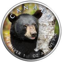Kanada - 5 CAD Maple Leaf Wildlife Schwarzbär 2021 - 1 Oz Silber Color