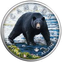 Kanada - 5 CAD Maple Wildtiere Unterwegs Schwarzbär 2021 - 1 Oz Silber Color