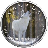 Kanada - 5 CAD Maple Wildtiere Unterwegs Polarwolf 2021 - 1 Oz Silber Color