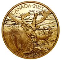 Kanada - 350 CAD Karibu 2021 - 35g Gold PP