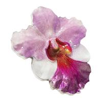 Niue - 2 NZD Blumenserie (2.) Orchidee 2020 - 1 Oz Silber