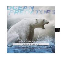 Solomon Islands - 5 Dollar Ocean Predators (2.) Eisbär / Polar Bear 2021 - 2 Oz Silber