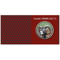 Kanada - 5 CAD Maple Leaf Wildlife Dickhornschaf 2021 - 1 Oz Silber Color