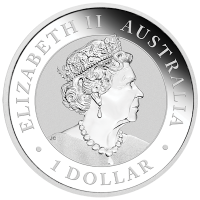 Australien - 1 AUD Brumby 2021 - 1 Oz Silber