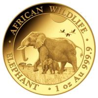 Somalia - 1000 Shillings Elefant 2022 - 1 Oz Gold