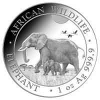 Somalia - African Wildlife Elefant 2022 - 1 Oz Silber