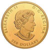 Kanada - 250 CAD Bison 2021 - 2 Oz Gold