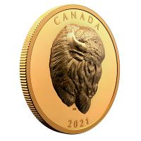 Kanada - 250 CAD Bison 2021 - 2 Oz Gold