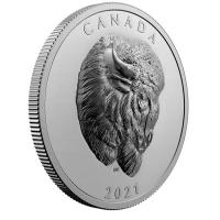 Kanada - 25 CAD Bison 2021 - 1 Oz Silber