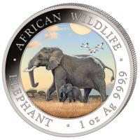 Somalia - African Wildlife Elefant Tag und Nacht Set 2022 - 2*1 Oz Silber