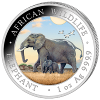 Somalia - African Wildlife Elefant 2022 - 1 Oz Silber Color