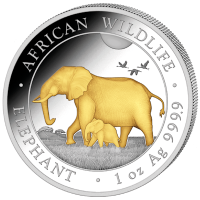 Somalia - African Wildlife Elefant 2022 - 1 Oz Silber Gilded