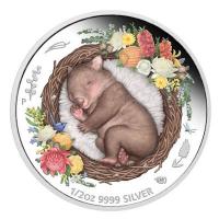 Australien - 0,5 AUD Dreaming Down Under Wombat - 1/2 Oz Silber PP Color