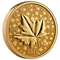 Kanada - 200 CAD Maple Leaf Celebration Piedfort 2021 - 1 Oz Gold