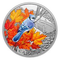 Kanada - 20 CAD Farbenfrohe Vögel: Blauhäher 2021 - 1 Oz Silber