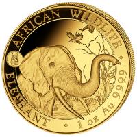 Somalia - 1000 Shillings Elefant 2018 - 1 Oz Gold Privy Hund