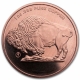 USA - 9Fine Mint Indian/Buffalo - 1 Oz Kupfer
