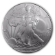 USA - 1 USD Silver Eagle 2010 - 1 Oz Silber
