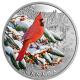 Kanada - 20 CAD Farbenfrohe Vögel: Rotkardinal 2023 - 1 Oz Silber Color