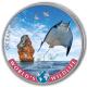 Kongo - 20 Francs Worlds Wildlife Ozean Rochen 2023 - 1 Oz Silber Color