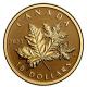 Kanada - 10 CAD Everlasting Maple Leaf 2023 - 1/20 Oz Gold Reverse Proof
