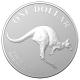 Australien - 1 AUD 30 Jahre Silver Kangaroo 2023 - 1 Oz Silber