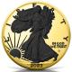 USA - 1 USD American Silver Eagle 2023 - 1 Oz Silber Gilded Black Platinum