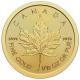 Kanada - 5 CAD Maple Leaf 2024 - 1/10 Oz Gold