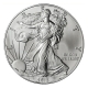 USA - 1 USD Silver Eagle 2013 - 1 Oz Silber