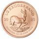 Südafrika - Krügerrand 2025 - 1/2 Oz Gold