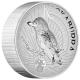 Australien - 8 AUD Kookaburra 2025 - 5 Oz Silber Proof Incused