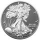 USA - 1 USD Silver Eagle Silver Ring 2025 - 1 Oz Silber Ruthenium 