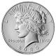 USA - 1 USD Peace Dollar 2025 - Silbermünze