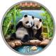 China - 10 Yuan Panda 2026 - 30g Silber Color