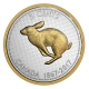 Kanada - 5 Cent Big Coin Hase 2017 - 5 Oz Silber ...