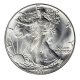 USA - 1 USD Silver Eagle 1987 - 1 Oz Silber