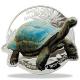 Solomon Islands - 1 Dollar Giant Galapagos Schildkröte 2021 - 1 Oz Silber
